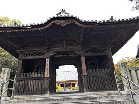 PXL_20241108_000744922