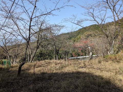 PXL_20240329_233630001