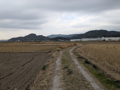 PXL_20251127_021901478