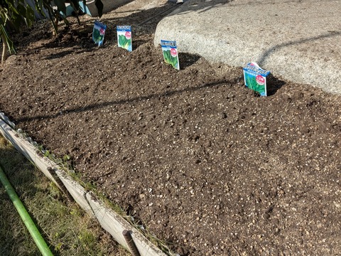 PXL_20251014_043747553