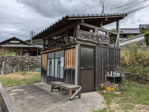 PXL_20241022_015212660