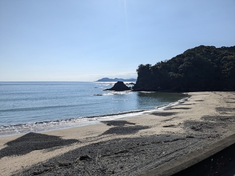 PXL_20241120_041350274