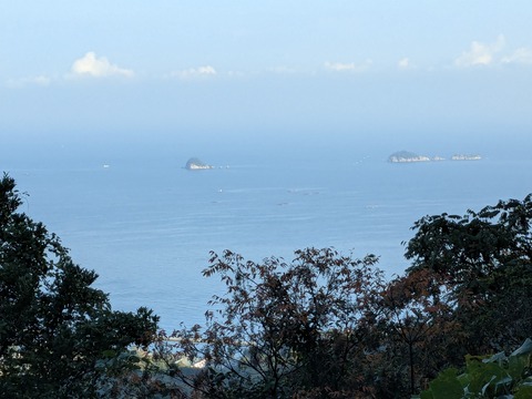 PXL_20251114_232046491