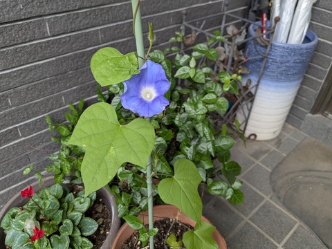 PXL_20250620_234730504