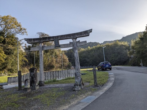 PXL_20240329_222235389