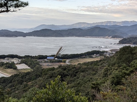 PXL_20241120_221436311