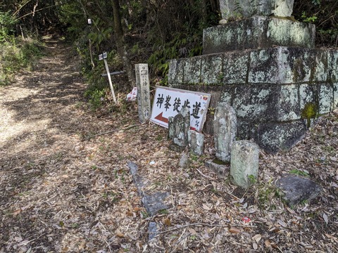 PXL_20240329_230844472