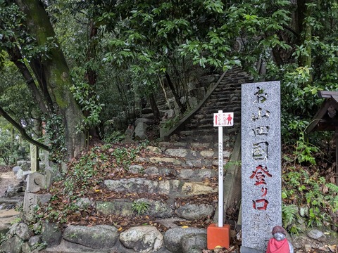 PXL_20241023_002802239