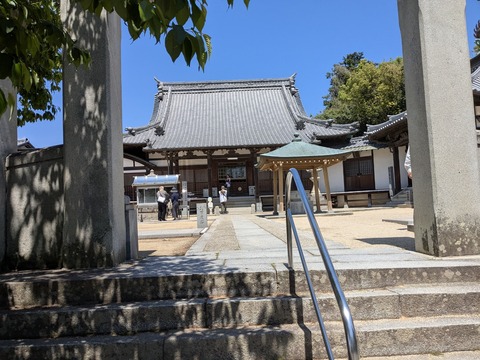 PXL_20250429_021704211