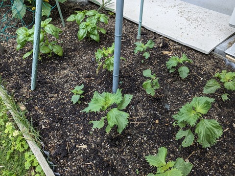 PXL_20240527_000052457