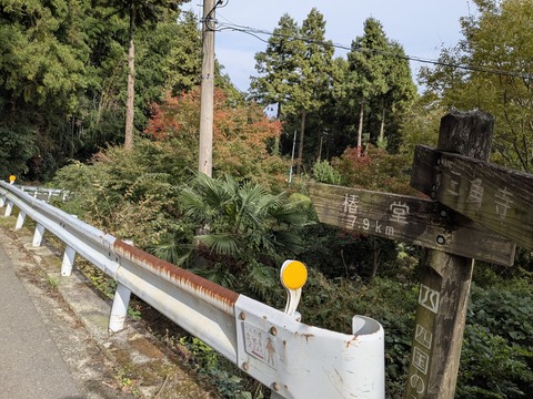 PXL_20251102_005506595