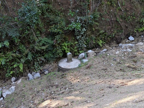 PXL_20250428_234700545