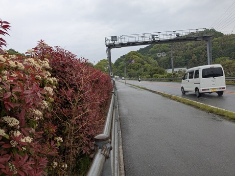 PXL_20250428_005542442