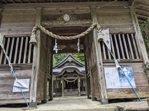 PXL_20240426_025320010