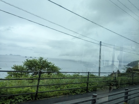 PXL_20240423_015043494