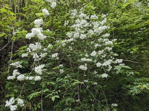 PXL_20240426_020142453