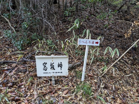 PXL_20240223_023143450