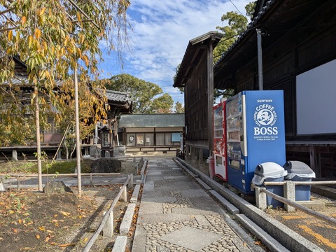 PXL_20251111_043921900