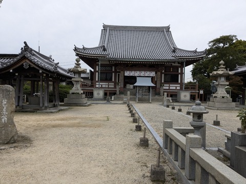 PXL_20241024_071055606