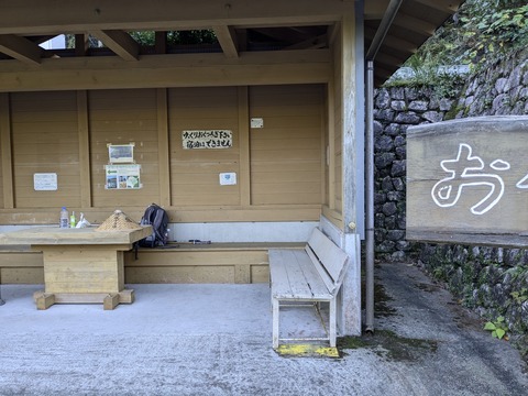 PXL_20241120_023556218