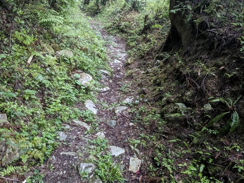 PXL_20240426_215026971