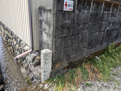 PXL_20240331_021841069