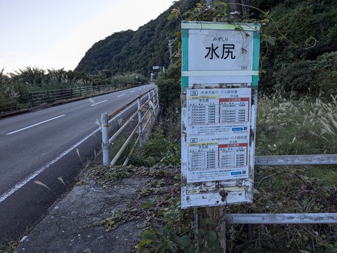 PXL_20241121_060405153