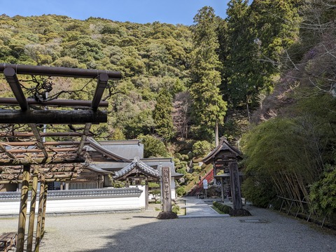 PXL_20240330_005503307