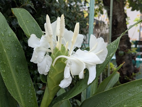 PXL_20250923_000050178