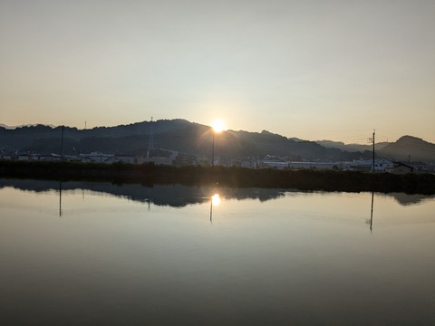 PXL_20240904_211831151