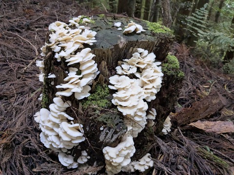 PXL_20251102_234319560