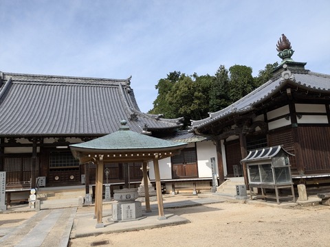 PXL_20241025_035414675