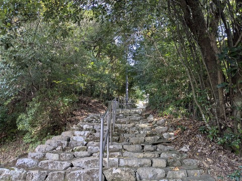 PXL_20251126_042842204