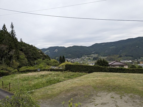 PXL_20240426_062122952