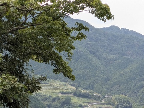 PXL_20240925_034102878