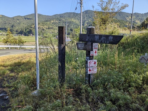 PXL_20240424_234017511