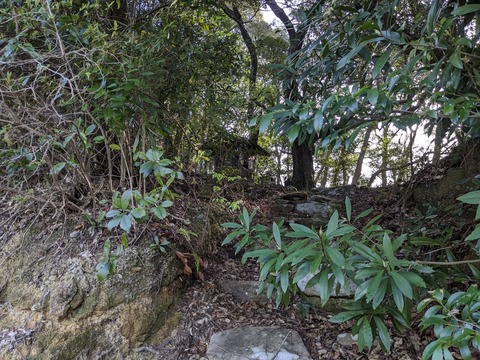 PXL_20240329_225923936