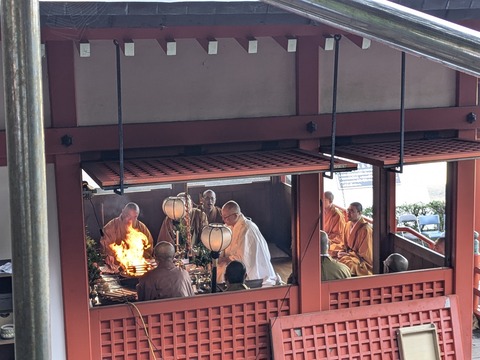 PXL_20241122_013359107