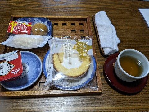 PXL_20240425_080018435