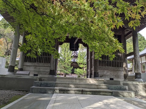 PXL_20251101_235821832