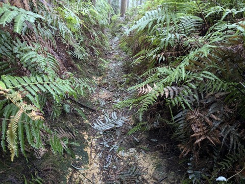 PXL_20241026_042418802