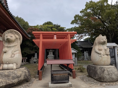 PXL_20251112_001713997