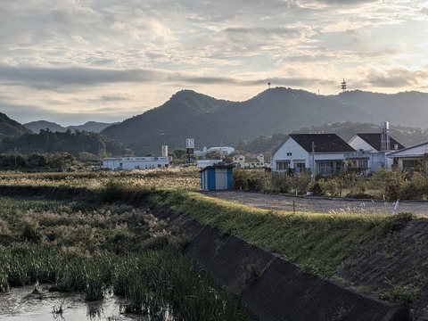 PXL_20241120_064730355