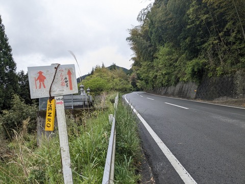 PXL_20240427_025545349