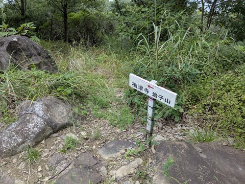 PXL_20250928_025651697