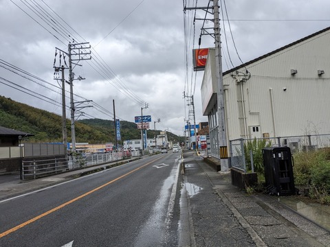 PXL_20240423_033826131