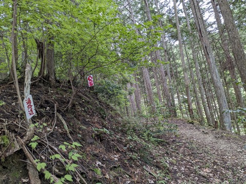 PXL_20240426_041454366