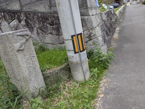 PXL_20251112_235844635