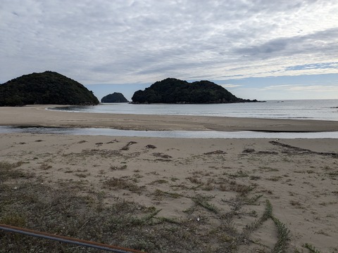 PXL_20241121_013913451