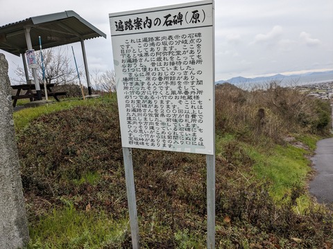 PXL_20240223_010912080